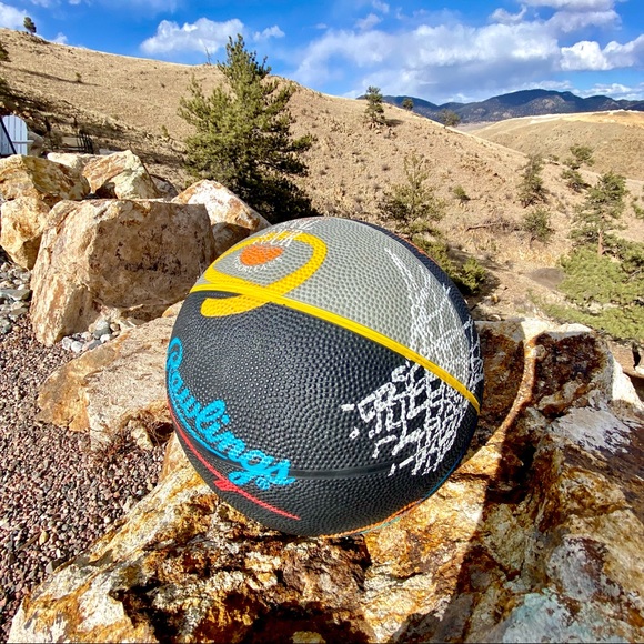 RARE 1993 VINTAGE NCAA FINAL FOUR | New Orleans Rawlings Collectors Basketball - Picture 2 of 7